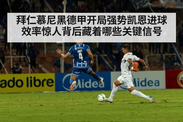 拜仁慕尼黑德甲开局强势凯恩进球效率惊人背后藏着哪些关键信号